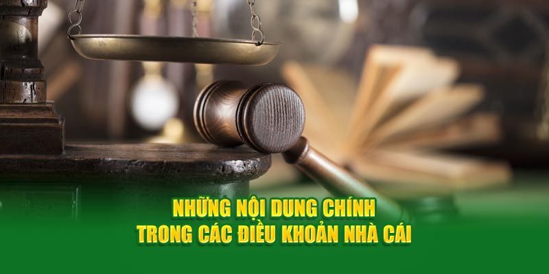 Điều khoản sử dụng yêu cầu những nội dung gì