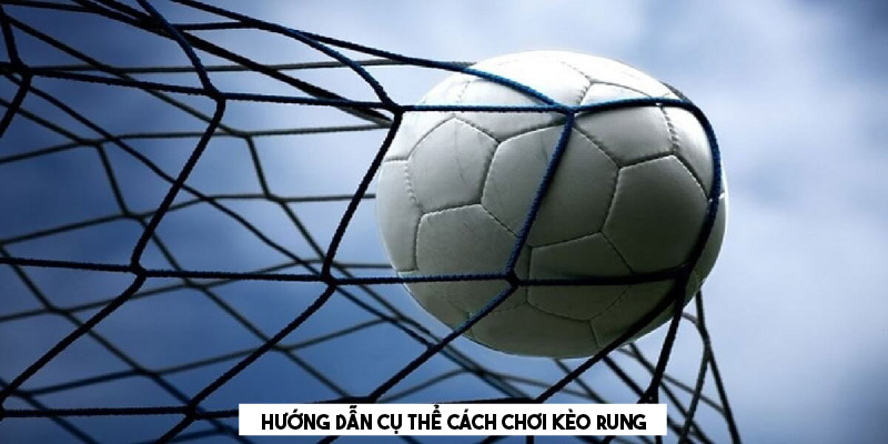 Hướng dẫn cách đọc và cách chơi kèo rung là gì 