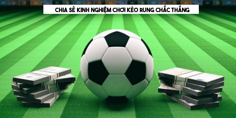 Kinh nghiệm đặt cược kèo rung tăng cơ hội thắng 