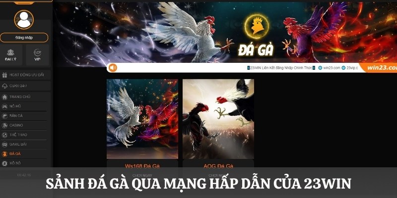 Sảnh đá gà qua mạng hấp dẫn của 23Win