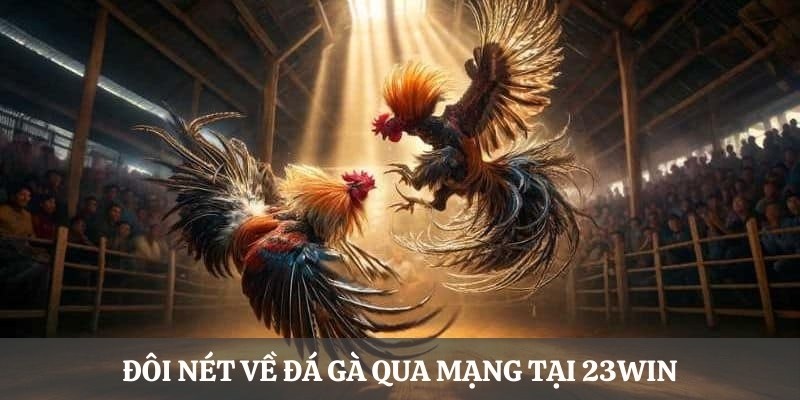 Đá gà qua mạng - Hình thức cá cược thổi làn gió mới